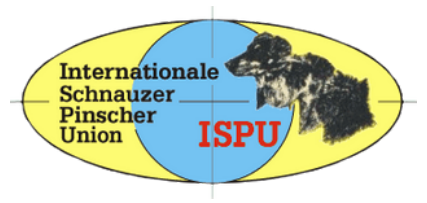 Riconoscimenti e gruppi