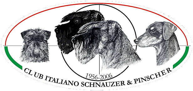 Riconoscimenti e gruppi